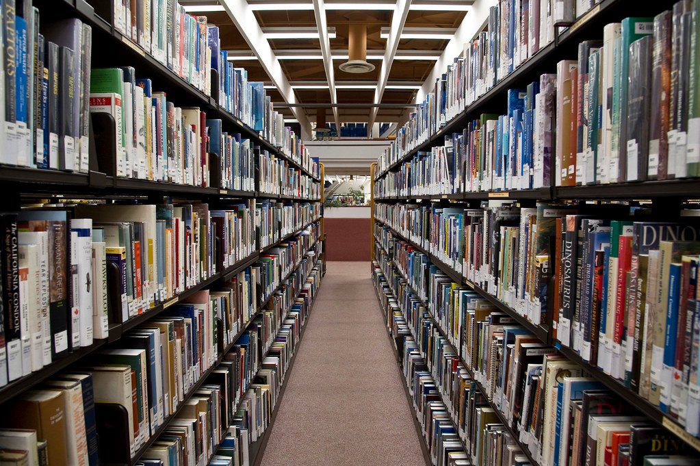 رواية همس النخيل - أدب اجتماعي
